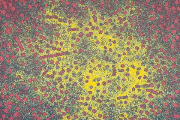 Hepatitis B Virus