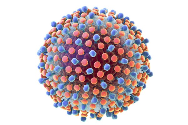 Hepatitis C