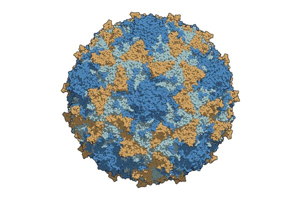 Polio