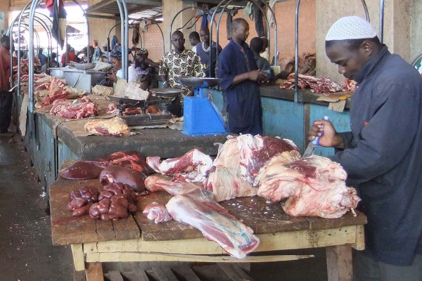 Rift Valley Fever