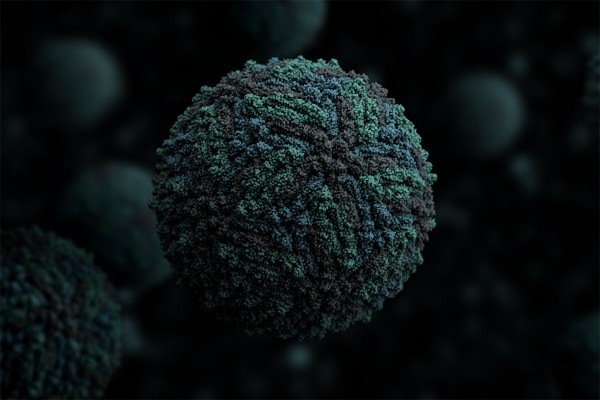 Zika Virus